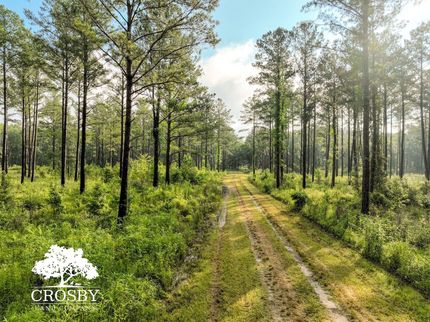Farm and Ranch for sale in Hampton County, South Carolina