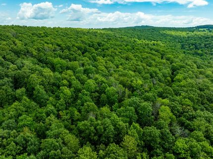 Hunting Property for sale in Stone County, Arkansas