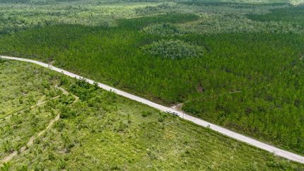 Timberland Property for sale in Ware County, Georgia