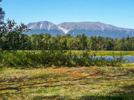 Homesite for sale in Matanuska-Susitna Borough, Alaska