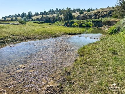 Farm and Ranch for sale in Golden Valley County, Montana