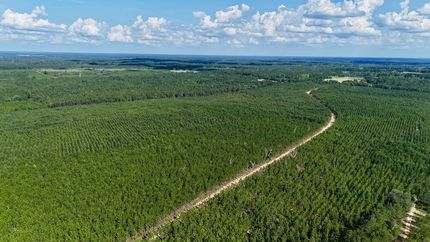 Hunting Property for sale in Appling County, Georgia