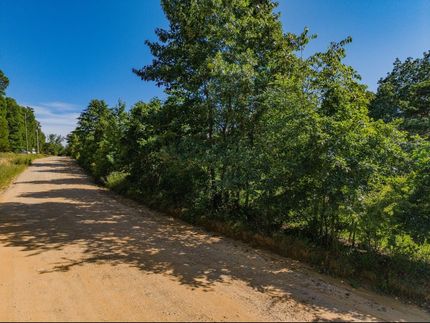 Timberland Property in Stone County, Arkansas
