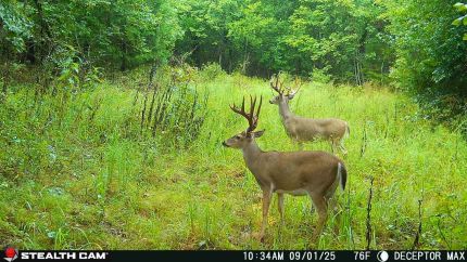 Land for sale in Coal County, Oklahoma