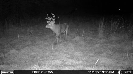 Farm and Ranch for sale in Van Buren County, Michigan