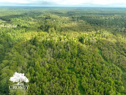 Land for sale in Bamberg County, South Carolina