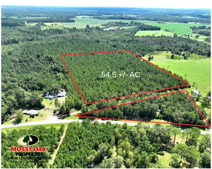 Land for sale in Pierce County, Georgia