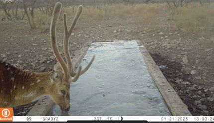 Land for sale in McCulloch County, Texas