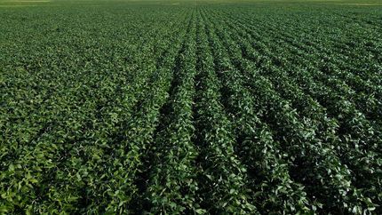 Farm and Ranch for sale in Marshall County, South Dakota