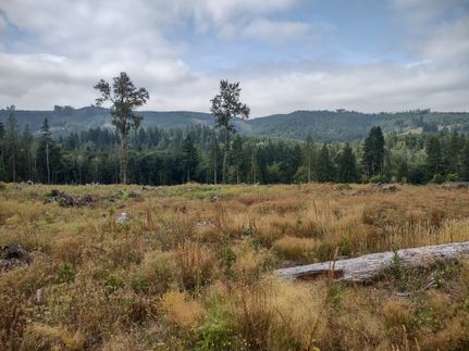 Timberland Property for sale in Thurston County, Washington