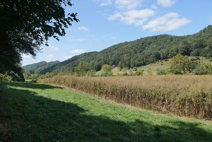 Land for sale in Scott County, Virginia