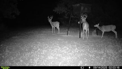 Farm and Ranch in Bourbon County, Kansas