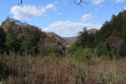 Land for sale in Scott County, Virginia