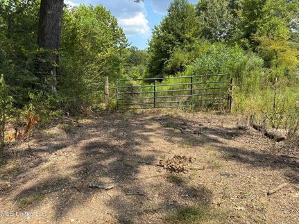 Undeveloped Land for sale in Hinds County, Mississippi