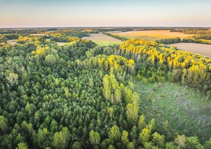 Undeveloped Land for sale in Macoupin County, Illinois