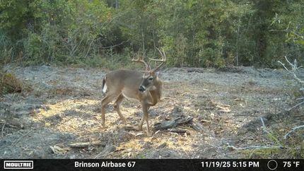 Land for sale in Decatur County, Georgia