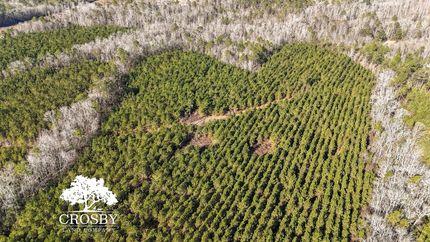 Timberland Property for sale in Emanuel County, Georgia