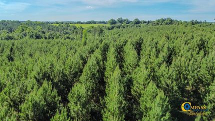 Land for sale in Marion County, Georgia