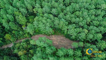 Undeveloped Land for sale in Chester County, Tennessee