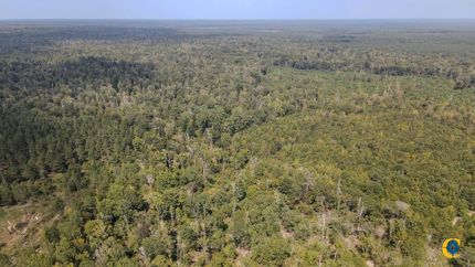 Undeveloped Land for sale in Ashley County, Arkansas