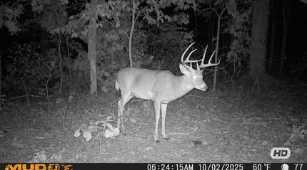 Timberland Property for sale in Camden County, Missouri