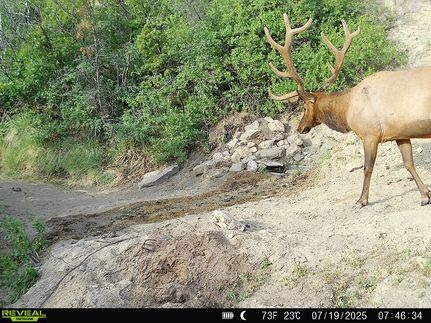 Land for sale in Mesa County, Colorado