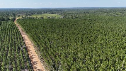 Timberland Property for sale in Appling County, Georgia