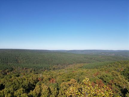 Undeveloped Land for sale in Pushmataha County, Oklahoma