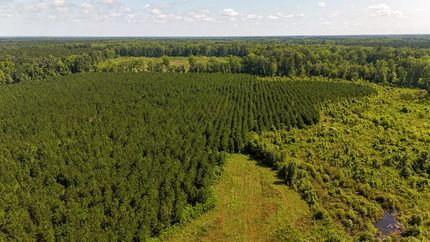 Land for sale in Orangeburg County, South Carolina