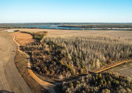 Undeveloped Land for sale in Hickman County, Kentucky