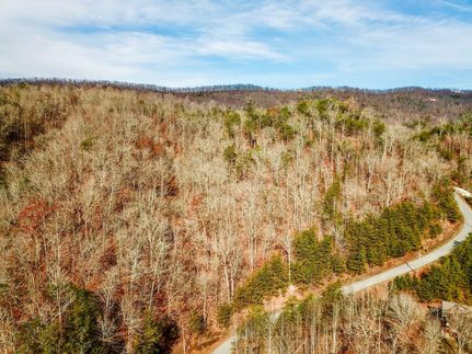 Homesite for sale in Claiborne County, Tennessee