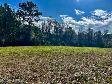 Undeveloped Land for sale in Lincoln County, Mississippi