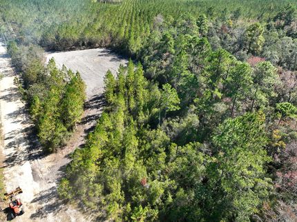 Timberland Property in Brantley County, Georgia