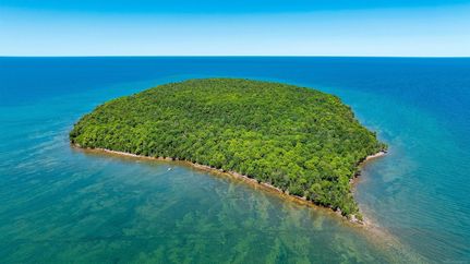 Undeveloped Land for sale in Alger County, Michigan