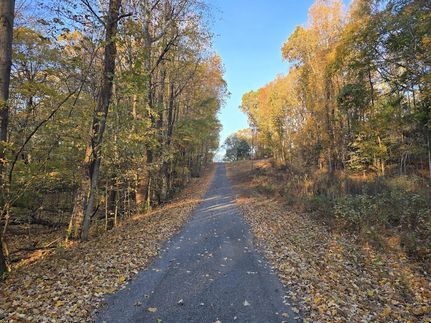 Undeveloped Land for sale in Trigg County, Kentucky