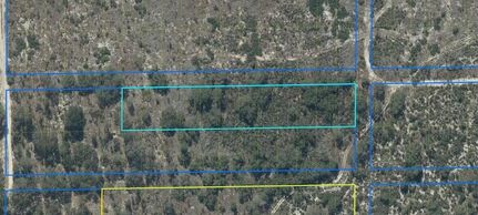 Homesite for sale in Levy County, Florida