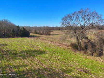 Undeveloped Land for sale in Yazoo County, Mississippi