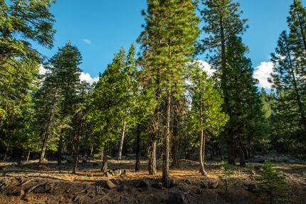 Undeveloped Land for sale in Modoc County, California