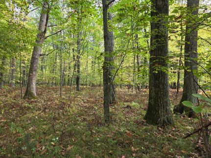 Land for sale in Marinette County, Wisconsin