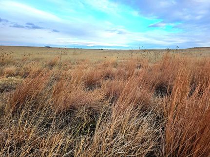 Land for sale in Kimball County, Nebraska