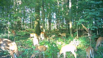 Hunting Property for sale in Calhoun County, Michigan