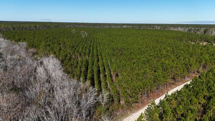 Hunting Property for sale in Wayne County, Georgia