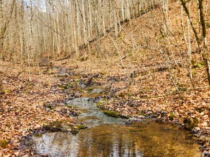 Undeveloped Land for sale in Claiborne County, Tennessee