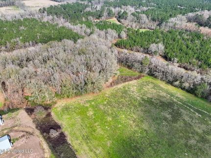 Farm and Ranch for sale in Amite County, Mississippi