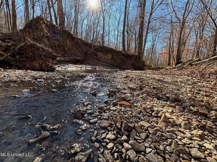 Timberland Property for sale in Yazoo County, Mississippi