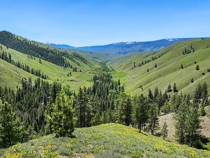 Farm and Ranch for sale in Lemhi County, Idaho