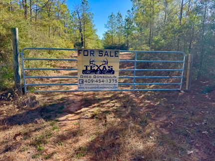 Hunting Property for sale in Tyler County, Texas