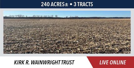 Land for sale in Henry County, Illinois