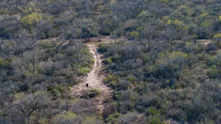 Land for sale in Atascosa County, Texas