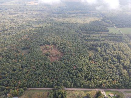 Hunting Property for sale in Gratiot County, Michigan